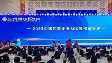 韦德亚洲集团位列2023中国民营企业500强第203位、2023中国制造业民营企业500强第139位
